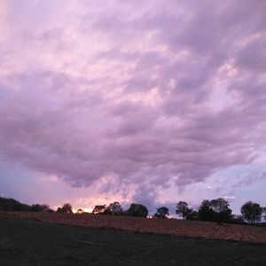 Meet your Posher, Rosa